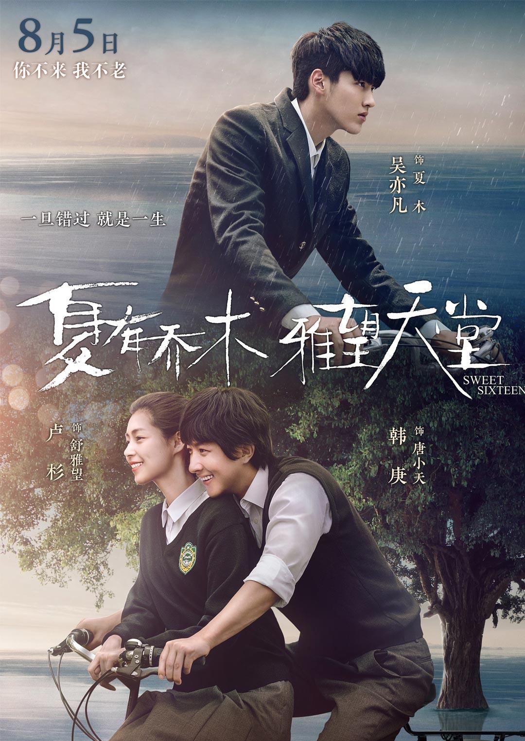 夏有乔木 雅望天堂