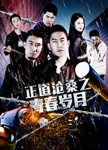 正道沧桑之青春岁月