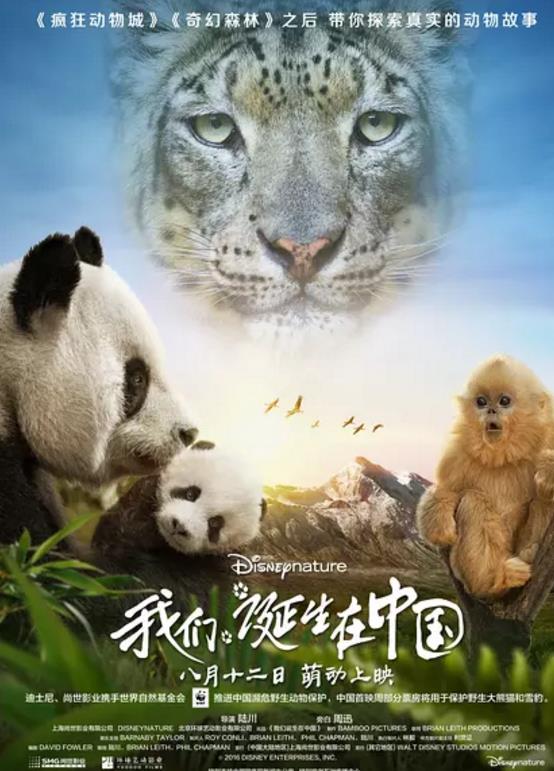 我们诞生在中国