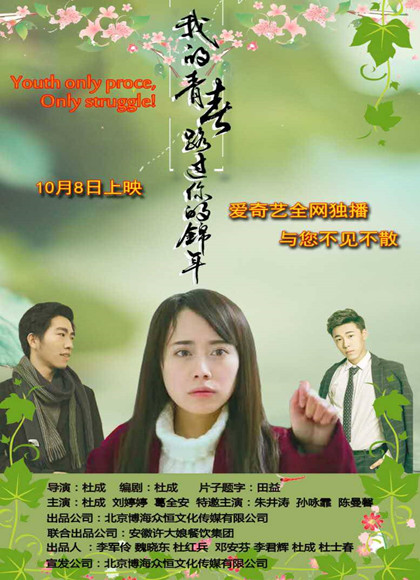 我的青春路过你的锦年