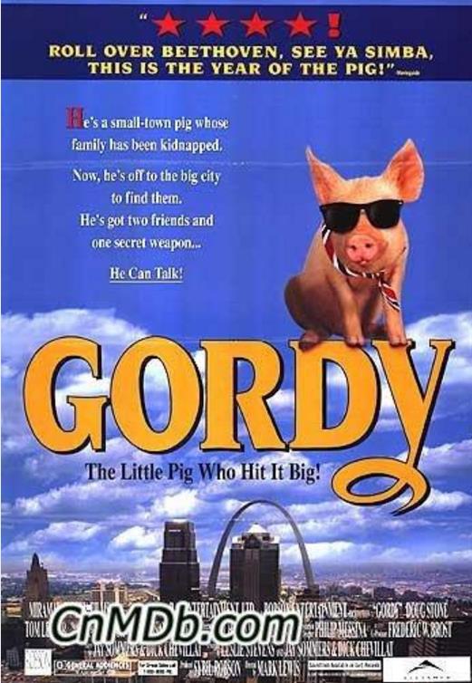 我不笨所以我说说说