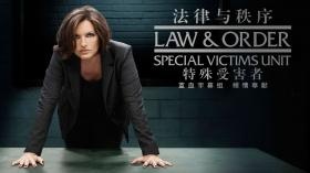 法律与秩序：特殊受害者第十九季