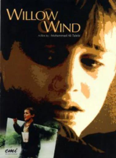 让风带着我起飞