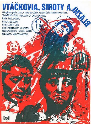 鸟，孤儿和愚人