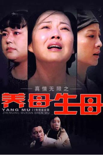 真情无限之养母生母