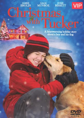 与塔克共度的圣诞节