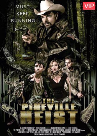 派恩维尔抢劫案