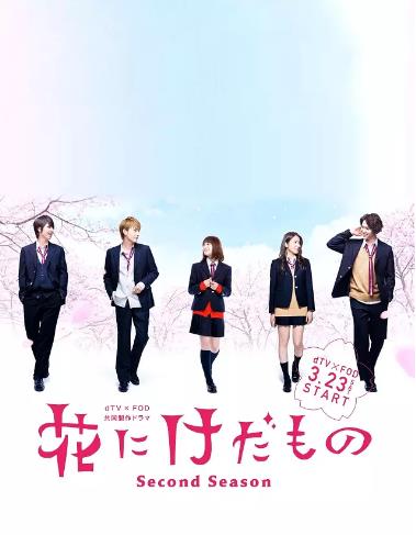 花予野兽第二季