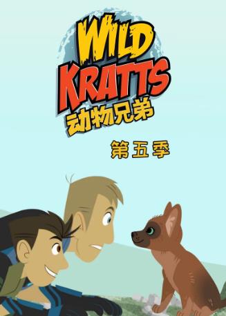 动物兄弟第五季