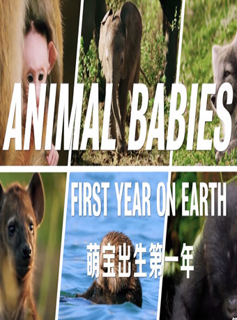 萌宝出生第一年