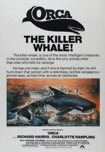 杀人鲸