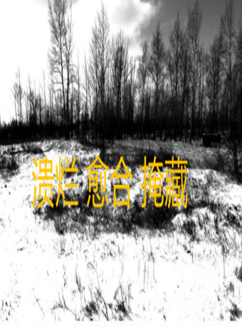 溃烂 愈合 掩藏