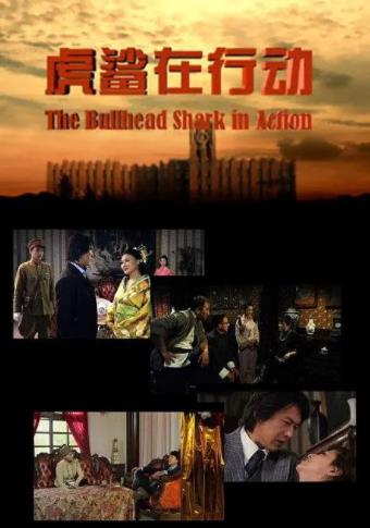 虎鲨在行动