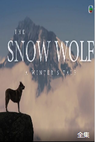 雪狼传说