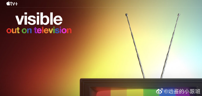 Visible: Out on Television