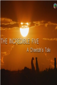 猎豹五兄弟英语版