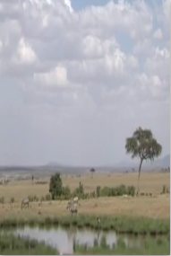 大自然的日常S3