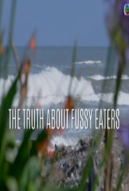 偏食真相粤语版