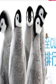 至Cute动物排行榜