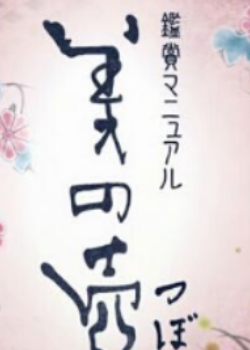 美之壶 可可豆的诱惑