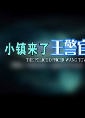小镇来了王警官