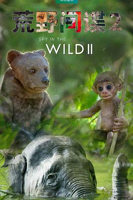 荒野间谍第二季(国语)