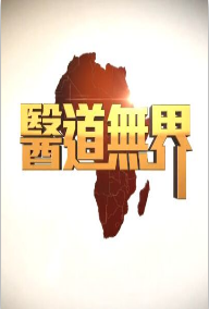 医道无界粤语版