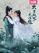 太子殿下太凶猛第二季