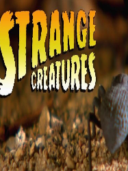 生物与它们的秘密2