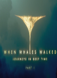 鲸鱼有脚的年代