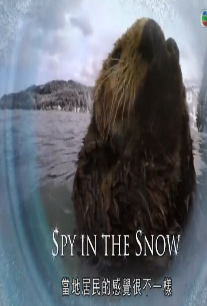 雪地特工队