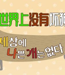 世界上没有坏狗狗2021