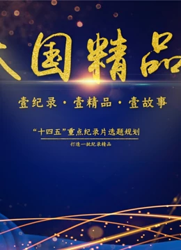 大国精品出圈记