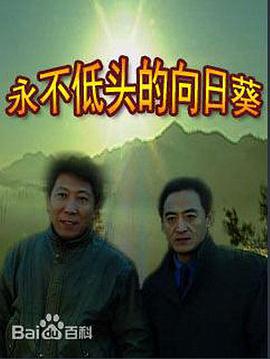 永不低头的向日葵