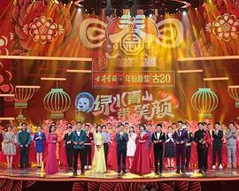 安徽卫视2020春节联欢晚会