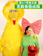 芝麻街国际版第47季